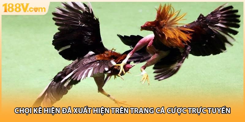 Chọi kê hiện đã xuất hiện trên trang cá cược trực tuyến